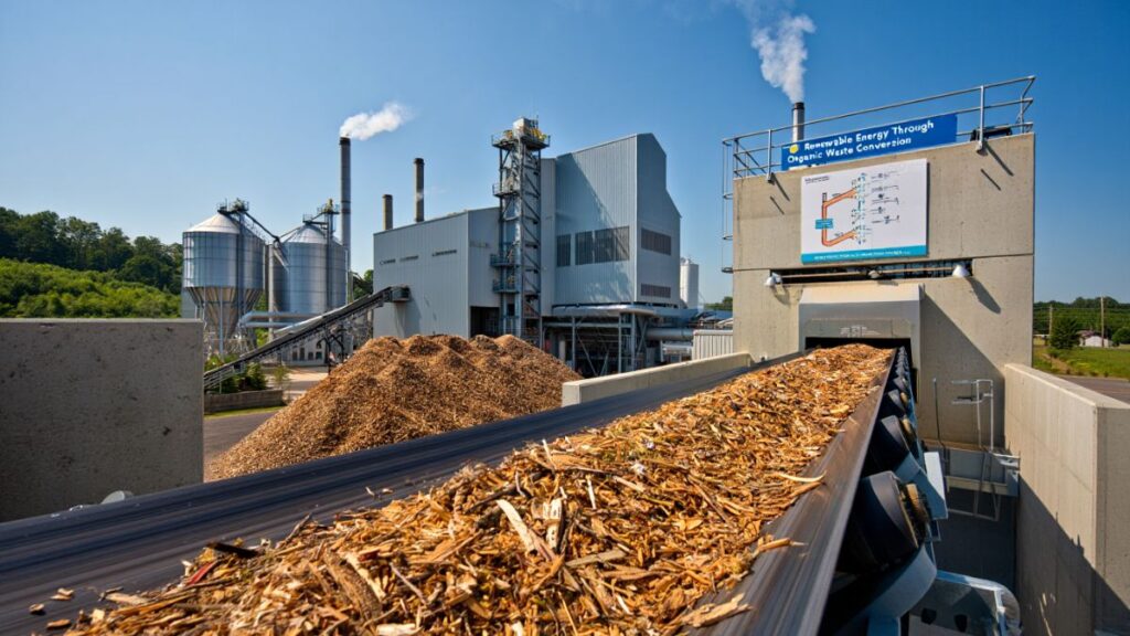biomass renewable energy concept.jpg 1024x576