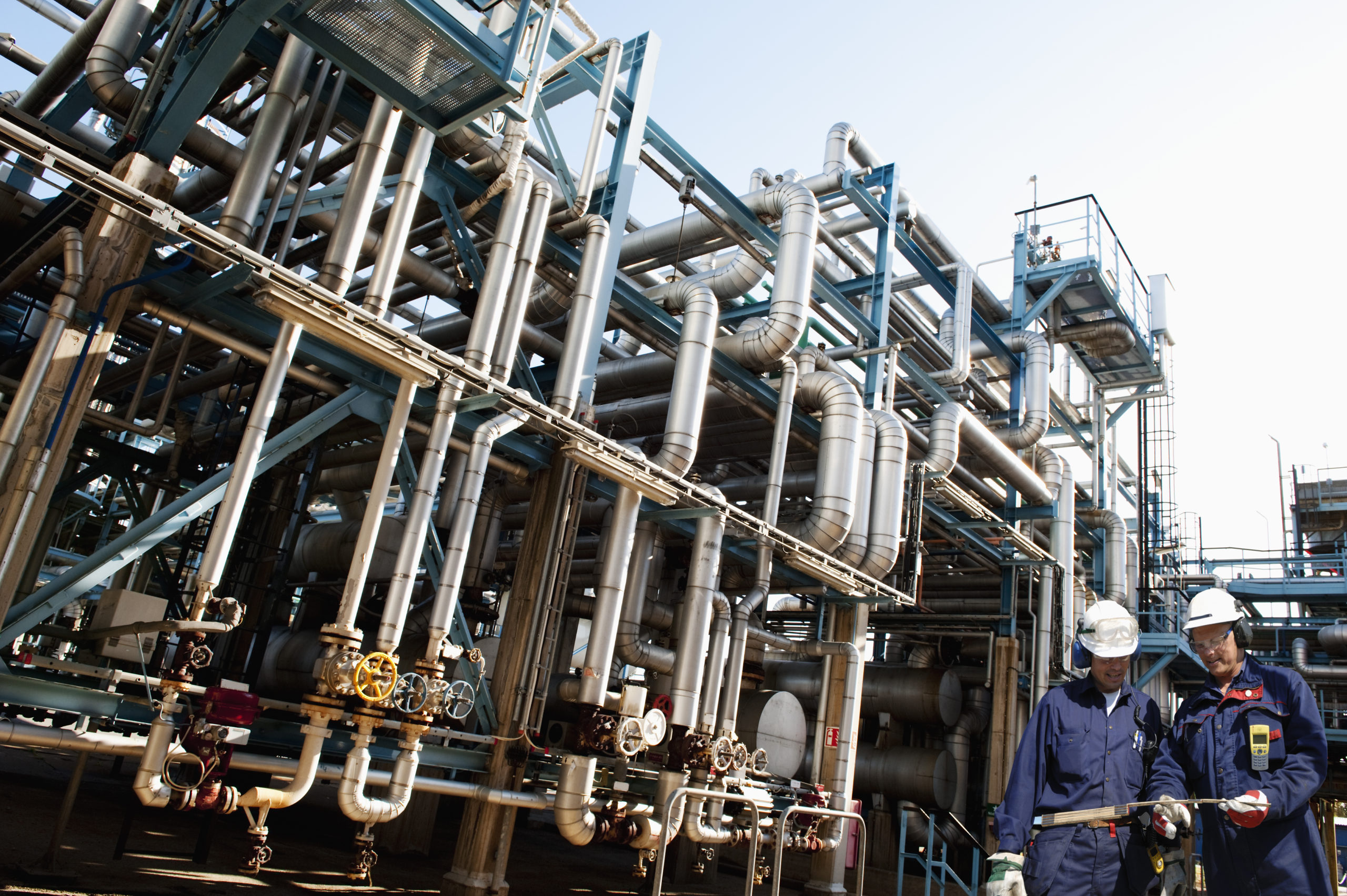 shutterstock 259240589 scaled